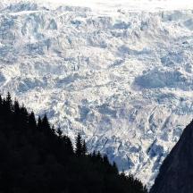 pogled na snijegom prekrivenu planinu s drvećem