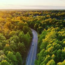 a car driving down a road in the forest