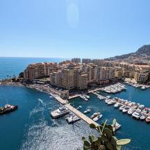 a group of boats in a harbor in a city