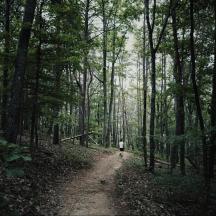 una persona che cammina lungo una strada sterrata in una foresta