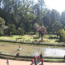 a group of people walking around a pond in a park