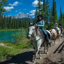 a group of people riding horses down a trail