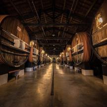 una fila di botti di vino in una cantina