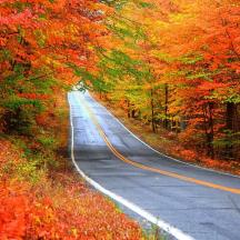an empty road in the fall with colorful trees