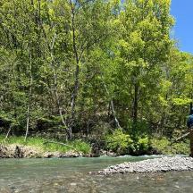 a man is standing on a rock in a river