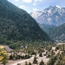 a mountain valley with trees and snow capped mountains