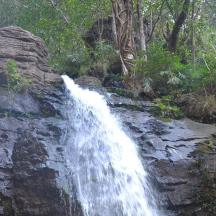 a waterfall on the side of a mountain with trees