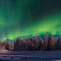 an aurora in the sky over trees and snow