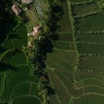 una vista dall'alto di un campo con alberi ed erba