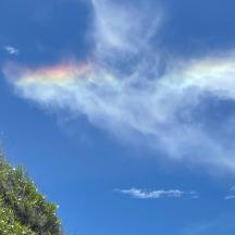 a rainbow in the sky with a tree