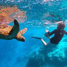 a girl and a green sea turtle in the water