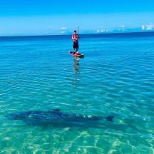 two people are standing on paddle boards in the water