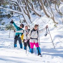 a group of three people on skis in the snow