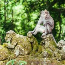 two monkeys sitting on top of a stone statue