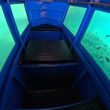 un aquari blau amb un banc a l'aigua