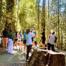 a group of people standing around in a forest