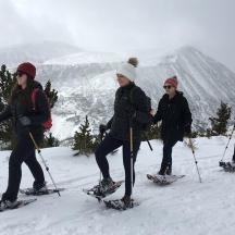 a group of people on skis in the snow