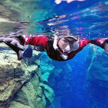 a person in a wetsuit swimming in the water