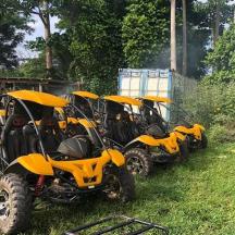 una filera de vehicles tot terreny grocs aparcats a l'herba