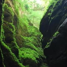 un canyó amb molsa verda a les roques