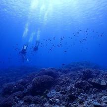a person swimming in the ocean over a reef