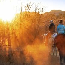 two people riding horses down a dirt road