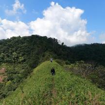 a person walking on a grassy hill with trees