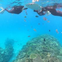 two people swimming over a coral reef with fish