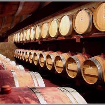 a row of wine barrels in a cellar