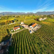 ブドウ園にある家の空中写真