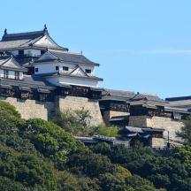 a castle on top of a hill with trees
