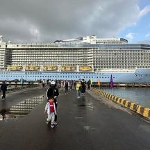 a cruise ship is docked at a pier with a group of people