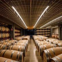 a large wine cellar with rows of wine barrels