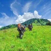 a group of people walking up a grassy hill