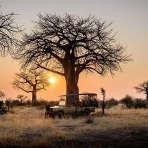a truck parked in a field with a tree
