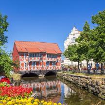 a bridge over a river in a city with flowers