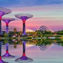 a view of the gardens by the bay at sunset