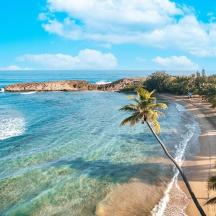 a beach with palm trees and the ocean