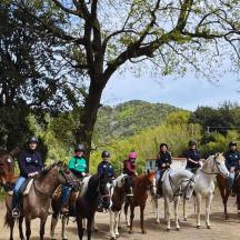 一列に並んだ馬に乗った人々の集団