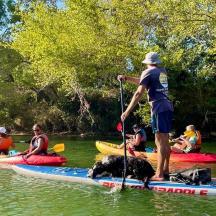 un home està dret sobre una taula de paddle surf amb dos gossos