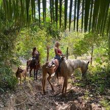 森の中で犬と一緒に馬に乗る二人