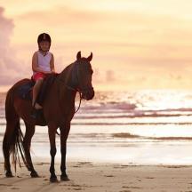 a little girl riding a horse on the beach