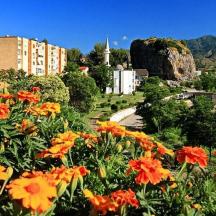 un ram de flors en un parc amb edificis