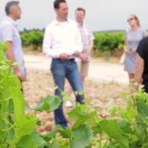 un grup de persones dempeus en una vinya