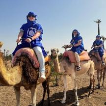 a group of people riding on the backs of camels