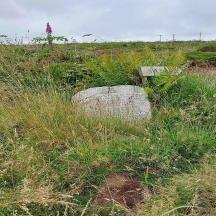 una roccia posta in mezzo a un campo erboso