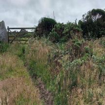 una collina erbosa con un ponte in cima