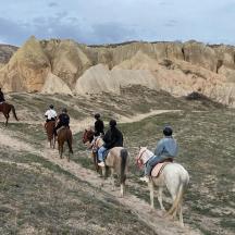 a group of people riding horses in a field