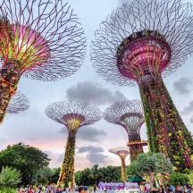 a group of different colored trees in a park