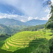 a large green field with mountains in the background